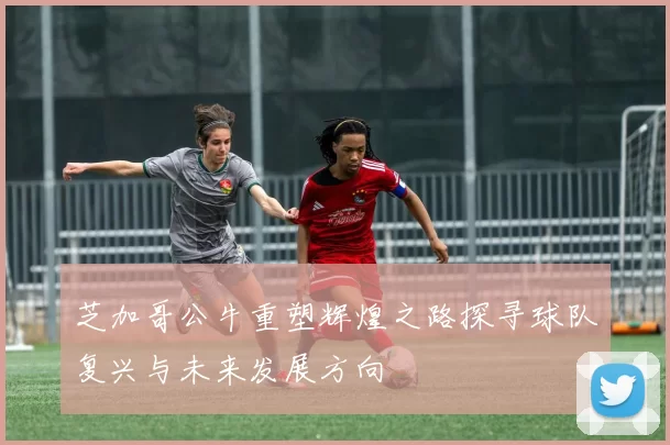 芝加哥公牛重塑辉煌之路探寻球队复兴与未来发展方向