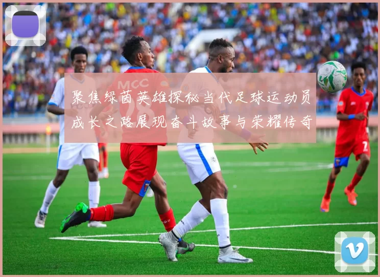 聚焦绿茵英雄探秘当代足球运动员成长之路展现奋斗故事与荣耀传奇