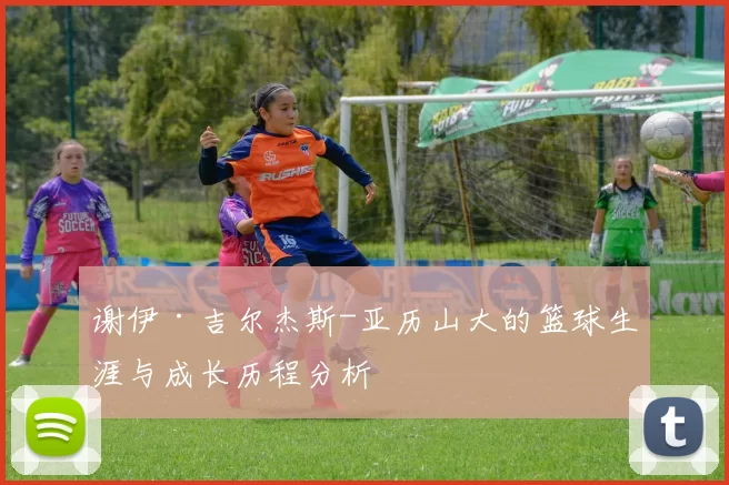 谢伊·吉尔杰斯-亚历山大的篮球生涯与成长历程分析