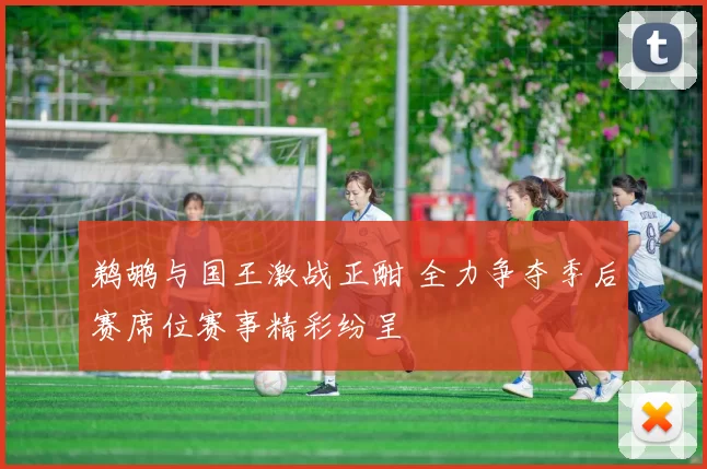 鹈鹕与国王激战正酣 全力争夺季后赛席位赛事精彩纷呈