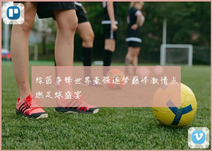 绿茵争锋世界豪强逐梦巅峰激情点燃足球盛宴