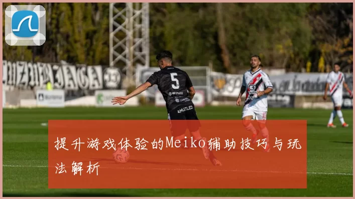 提升游戏体验的Meiko辅助技巧与玩法解析