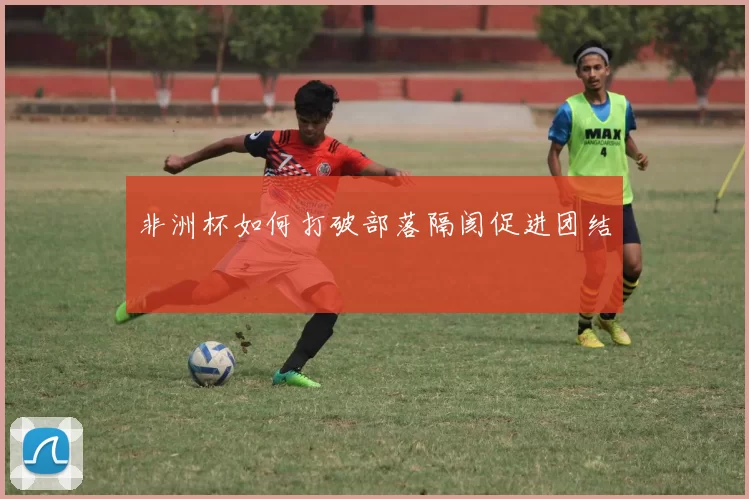 非洲杯如何打破部落隔阂促进团结