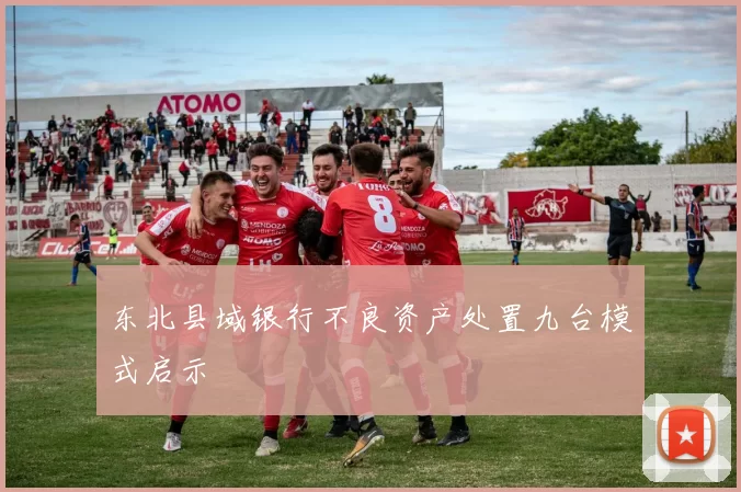 东北县域银行不良资产处置九台模式启示