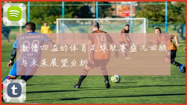 激情四溢的体育足球联赛盛况回顾与未来展望分析