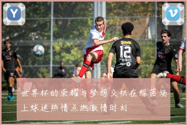 世界杯的荣耀与梦想交织在绿茵场上球迷热情点燃激情时刻