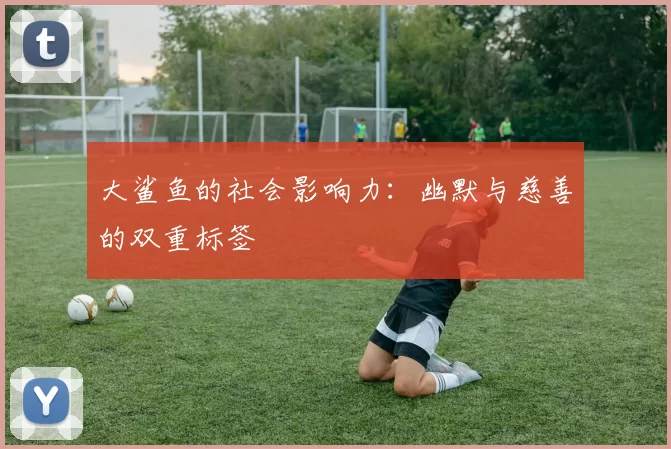 大鲨鱼的社会影响力：幽默与慈善的双重标签